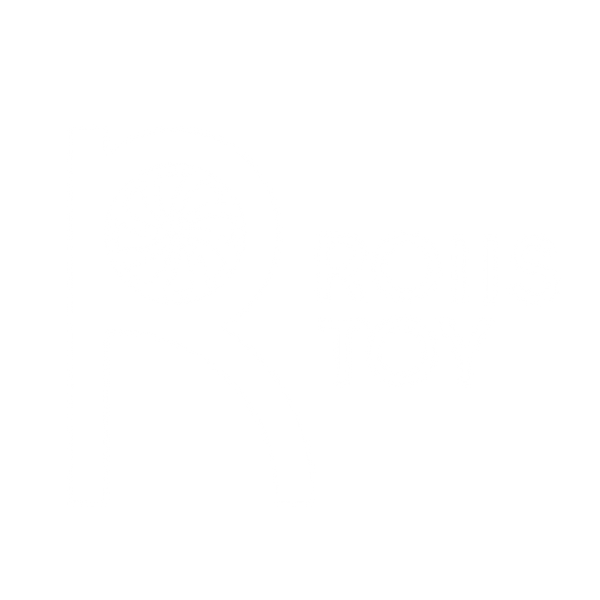 ROIISTOY